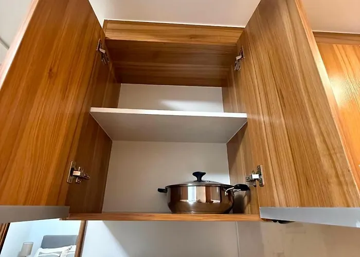 Apartment Fully Furnished Unit With Pool Near It Park *